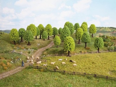 NOCH - Set of 10 deciduous trees 5-9 cm - - NOC26901