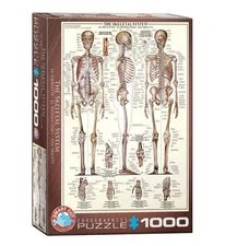 Eurographics The Skeletal System 1000 Piece Puzzle Speed Puzzling 