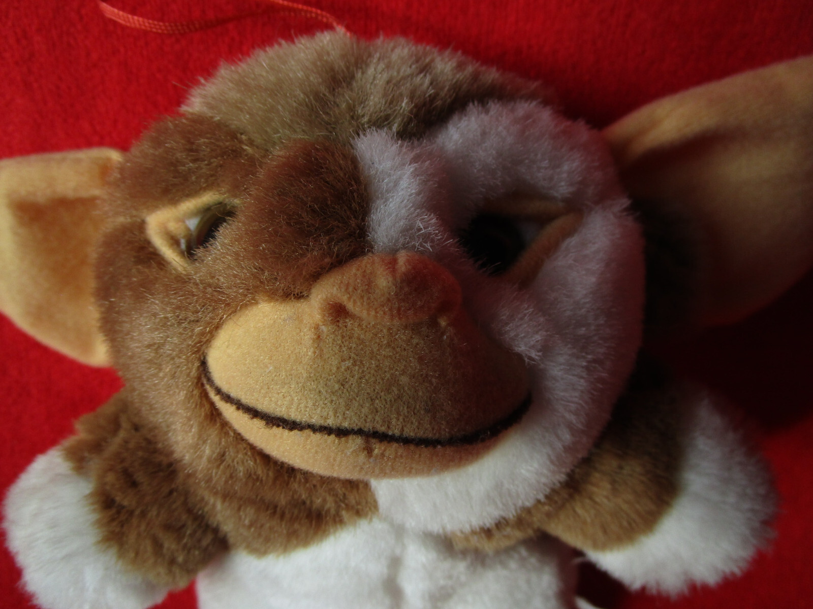 Bild 8 von 10