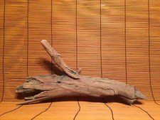 Beautiful 14" DRIFTWOOD Piece Terrarium Taxidermy Aquarium Beach Wood DECOR Art