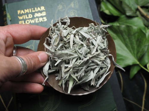 Herbs, Spices & Resins for Incense & Spell Making - Wicca, Pagan, Witchcraft - Picture 307 of 352