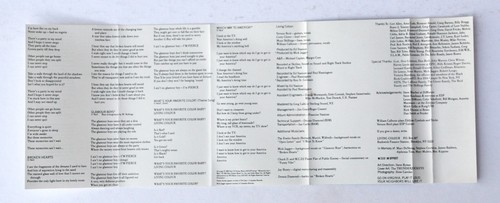 Living Colour Vivid (EX Condition 1988 Cassette Tape, Epic FET 44099) Dolby - Picture 6 of 7