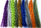 Rubber Silicone Legs - Fly Tying Material - 9 Colors Available - Sili Legs - New