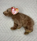 Vintage 1999 TY Beanie Babies Collection - Pecan the Bear w/ Tags
