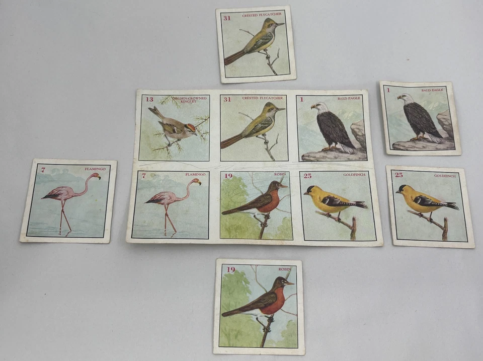 Unbranded Vintage Bird Art Memory Matching Game Missing 1 Card Estate Sale Find - Image 2 of 4