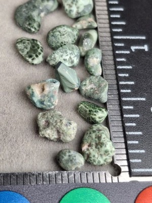 2g Lot From The Island Of Isle Royale Greenstone Michigan Chlorastrolite Small 