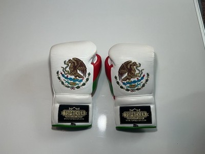 Top Boxer Alien 12oz boxing gloves Mexican Flag colorway