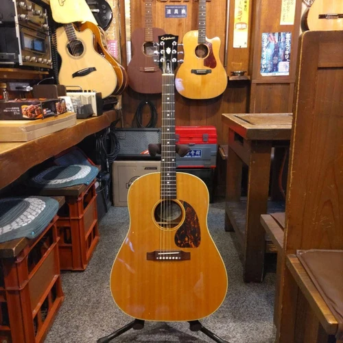 Limited Time Listing Epiphone Elite J-45 Management No.MG309