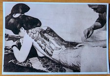 Bernard Kobel Traditional Tattoo Photo B W Vintage Tattooed Woman Japanese Back