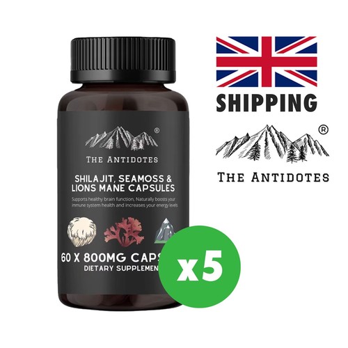 5 x Shilajit Meeresmoos und Löwenmähne Adaptogen 60 Kapseln Energie Immunität Gehirn