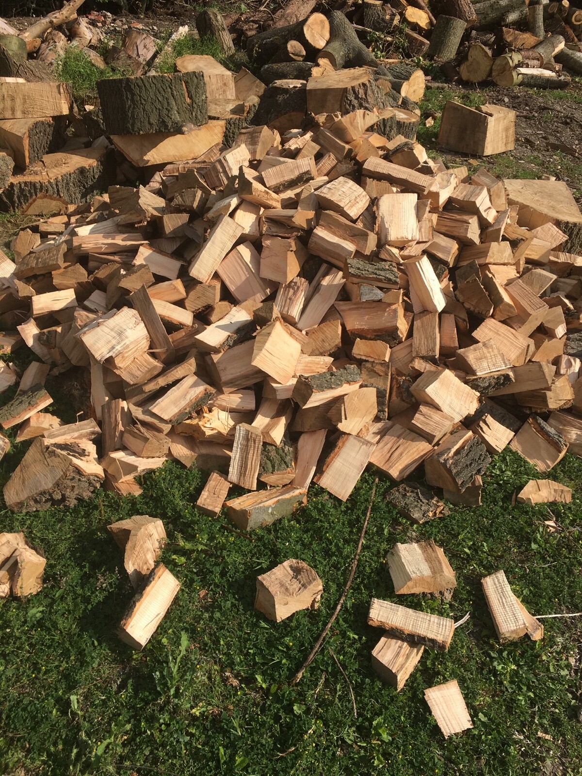 Seasoned firewood for sale eBay