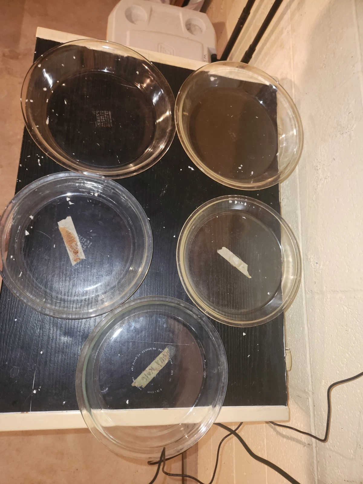 Lot of 5 Clear Glass Pie Plates, Ovenware