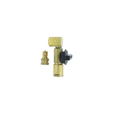 GASTITE T103029 Quick Connect Valve 1/2'' ANSI/ASME B16.33 Quick-Disconnect