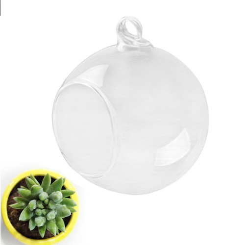 4PCS hanging glass flower planter Hanging Glass Terrarium Globe Ball Air Plant - Picture 40 of 44
