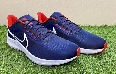 Nike Zoom Pegasus 40 University of Arizona Running Shoes DR1958