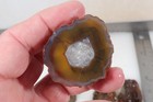 Argentine Condor Agate lapidary 6.4 oz. Four faced rough Lot Dc4 — photo 10