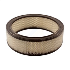 PUR 57-42098 Air Filter for Chevy Olds SaVana Express Van Suburban Le Sabre NPR