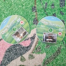ONE SUMMER DVD OOP RARE COMPLETE MINI SERIES  DISCS ONLY 