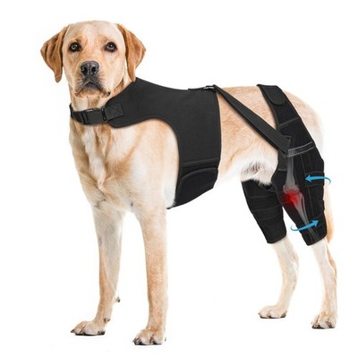 Pawfun Dog Knee Brace for Torn ACL Hind Leg, Dog Leg Brace Helps Reduce Pain