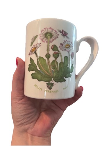 Portmeirion Botanischer Garten Schmetterling Gänseblümchen Vintage Becher Tasse Kaffee Tee weiß Blumen - Bild 1 von 5