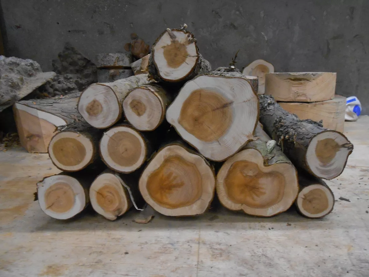 Fully seasoned english yew logs,each log picked for you by a pro woodturner! | eBay Fully Seasoned English Yew Logs,Each Log Picked For You By A Pro Woodturner! | Ebay