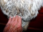Bild 3 von 6