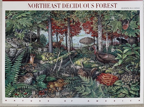 Scott #3899 Northeast Deciduous Forest KeepSake Pane of 10 Stamps - Sealed MNH - Picture 3 of 10