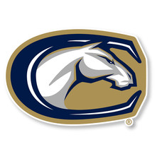 UC Davis Aggies Weather Resistant Vinyl Die Cut Sticker Decal 01