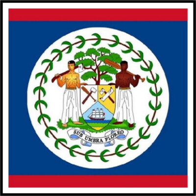 30 Custom Belize Flag Personalized Address Labels