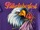 Bild 8 von 14