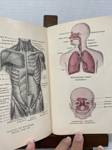 Illustrated Pocket Medical Dictionary Second Edition Blakiston's 1960 Hardcover - Picture 12 of 12