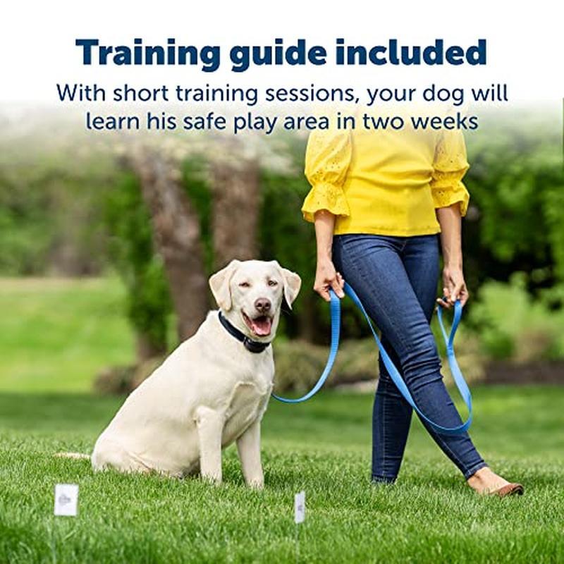 Wireless Pet Fence Waterproof Receiver Collar Training Tone Static Correction US