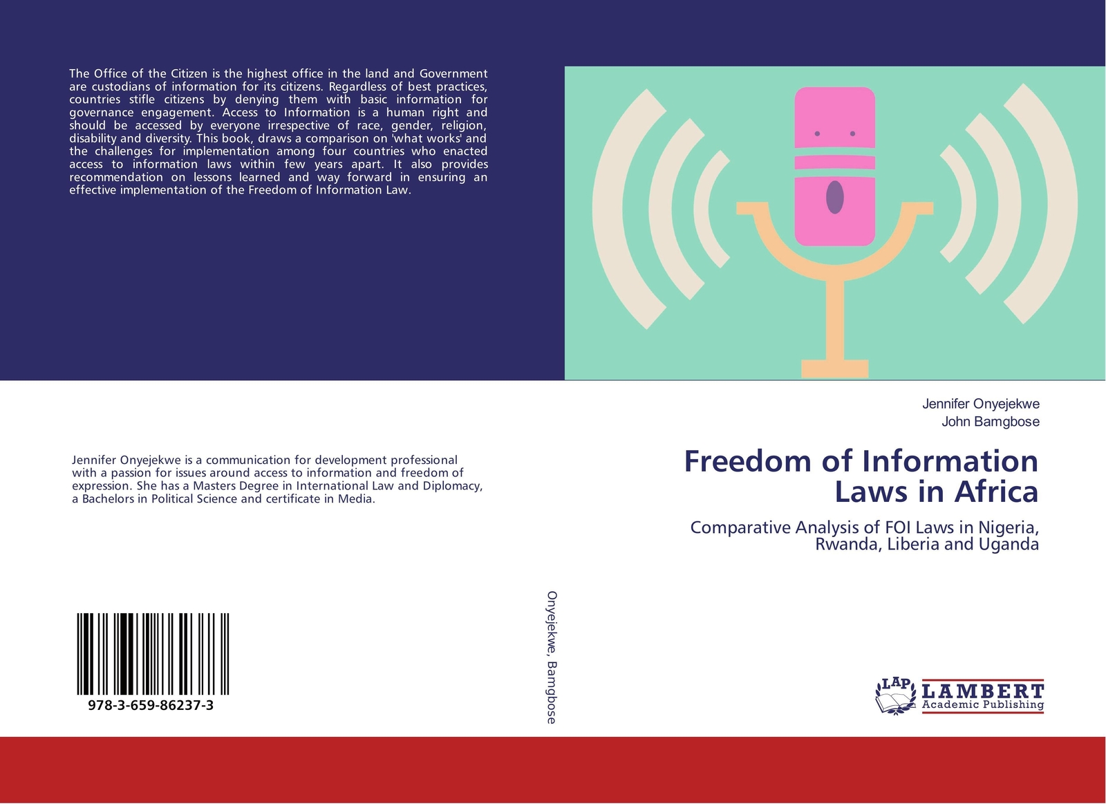 Thumbnail - Freedom Of Information Laws In Africa Jennifer Onyejekwe (u. A.)