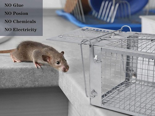 Live Animal Trap Humane Cage Catch and Release Mice Rats Small Animals - Picture 12 of 24