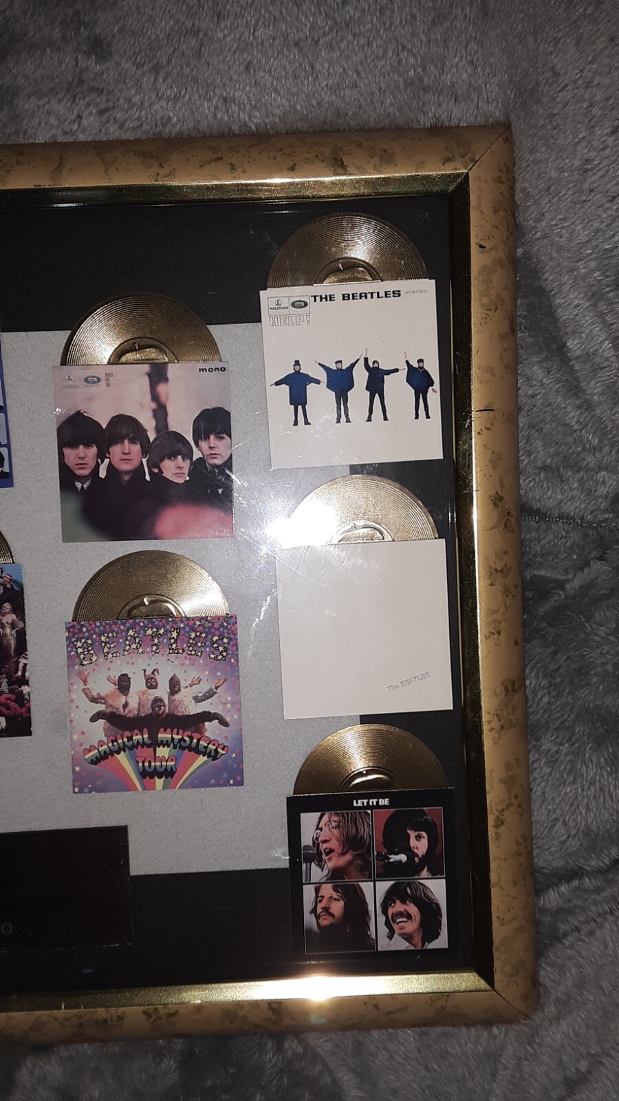 Picture 4 of 12