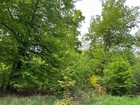 Bild 8 von 10