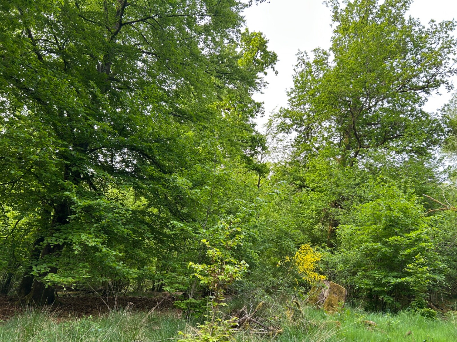 Bild 8 von 10