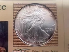 2005 Liberty Eagle Coin 1oz Fine Silver. Ungraded CONDITION..999 Silver #363