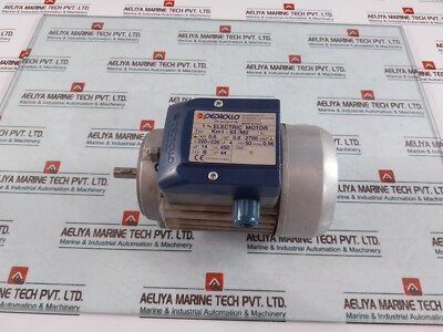 PEDROLLO KM1-63/M2 1~ Electric Motor