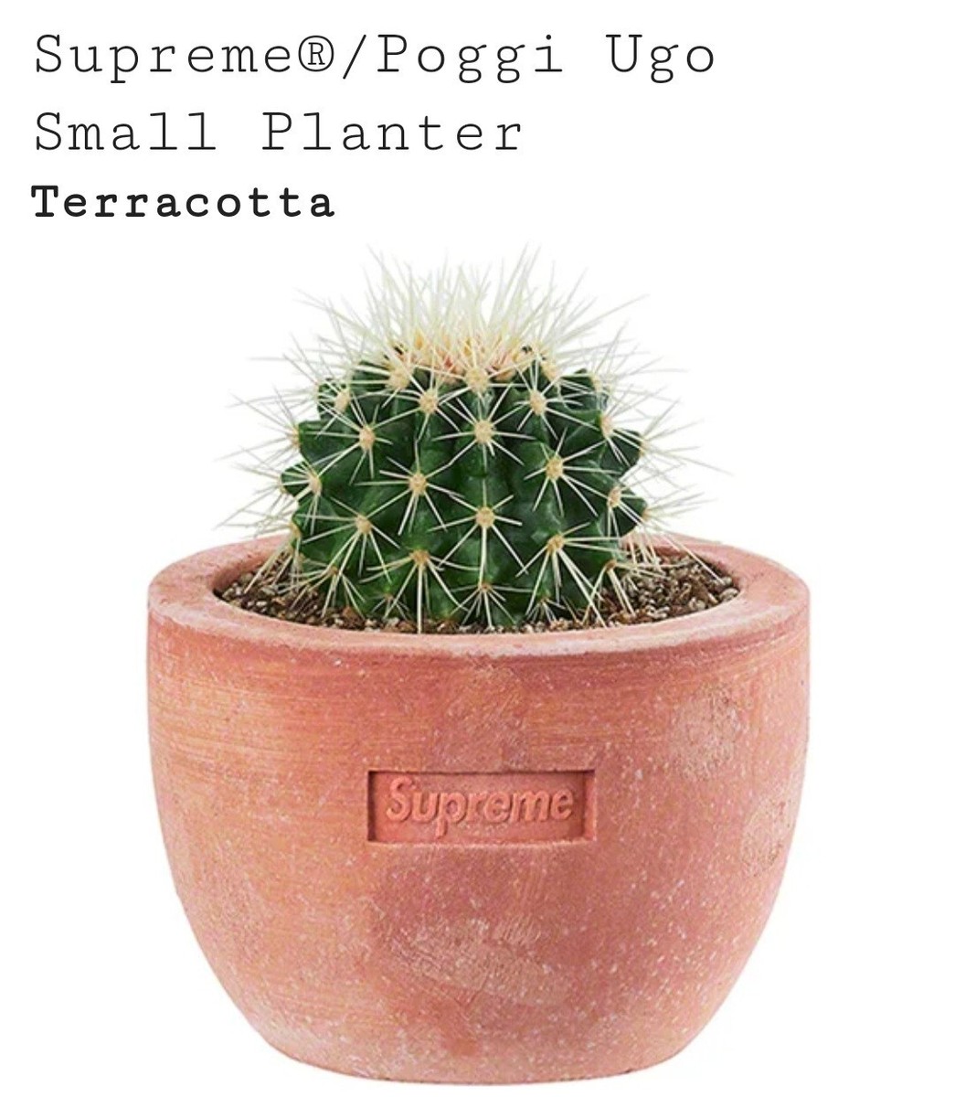 ⚠️超希少⚠️ Supreme Poggi Ugo Smal Planter Spring/Summer 2022 Preview – Supreme