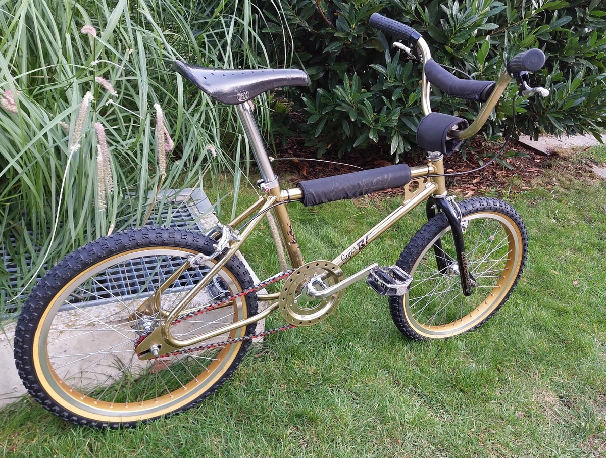 Raleigh super burner bmx hotsell