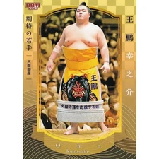Ohoho Konosuke BBM 2023 Sumo Card Young Promising / Duty Paid or Reimbursed