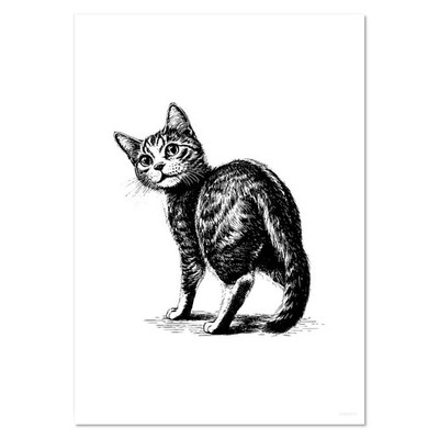 Wandposter/Drucke ''Süße Katze blickt zurück'' (PP049301)