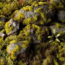 Gamers Grass Moss 2mm - Wild Tufts (Wargame / Model Basing)
