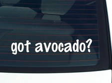 got avocado? CAR DECAL BUMPER STICKER VINYL FUNNY JOKE WINDOW