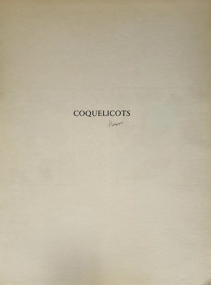 Litografía Original Henri Matisse "Coquelicots" Edición Limitada.  Mourlot 1958 Foto 4 de 4