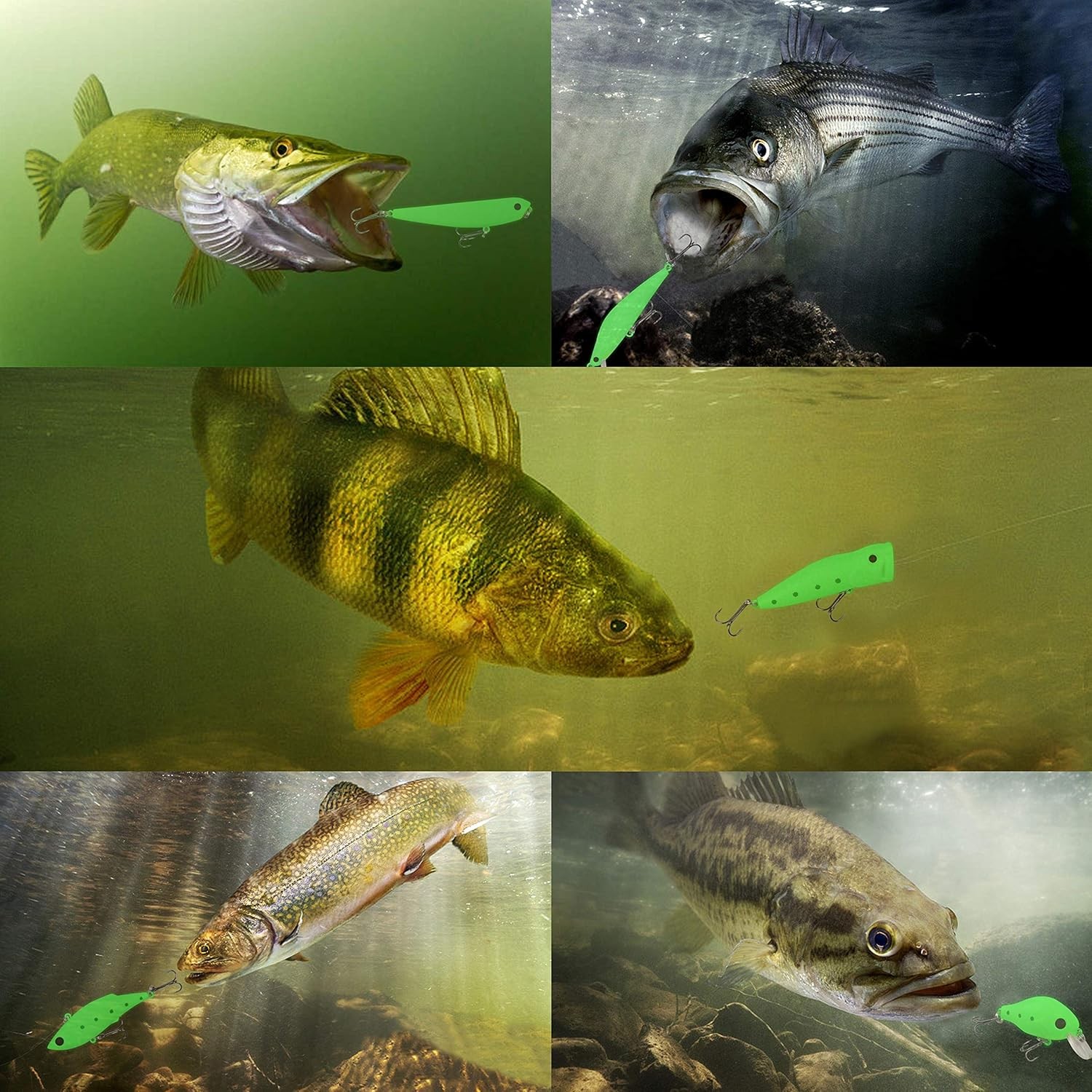 5pcs Minnow Crankbait Luminous Fishing Lures Set with Box Glow Fishing Bait