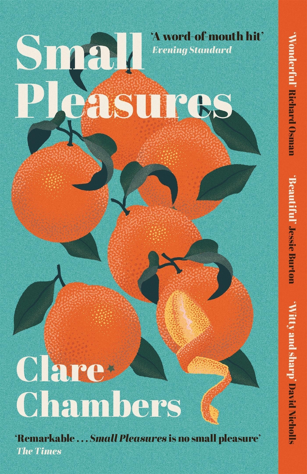 Thumbnail - Small Pleasures | Longlisted For The Women's Prize For Fiction 2021 |