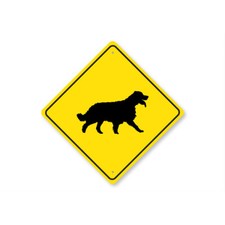 Irish Red and White Setter Dog Diamond Metal Sign Breed Pet Puppy Canine Wall