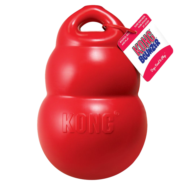 kong xl